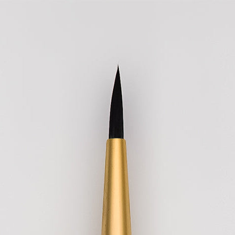 Brush Tip Detail